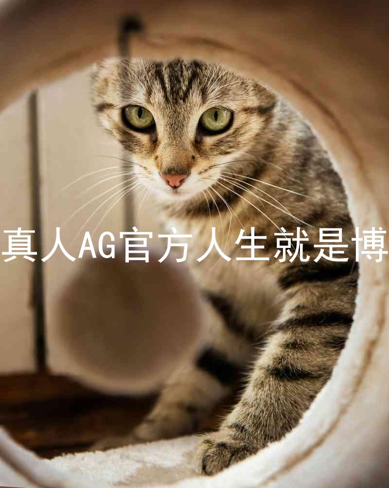 真人AG官方人生就是博